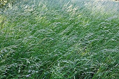 4X战略游戏《群星》全新DLC“宇宙风暴”正式推出 已获多半好评